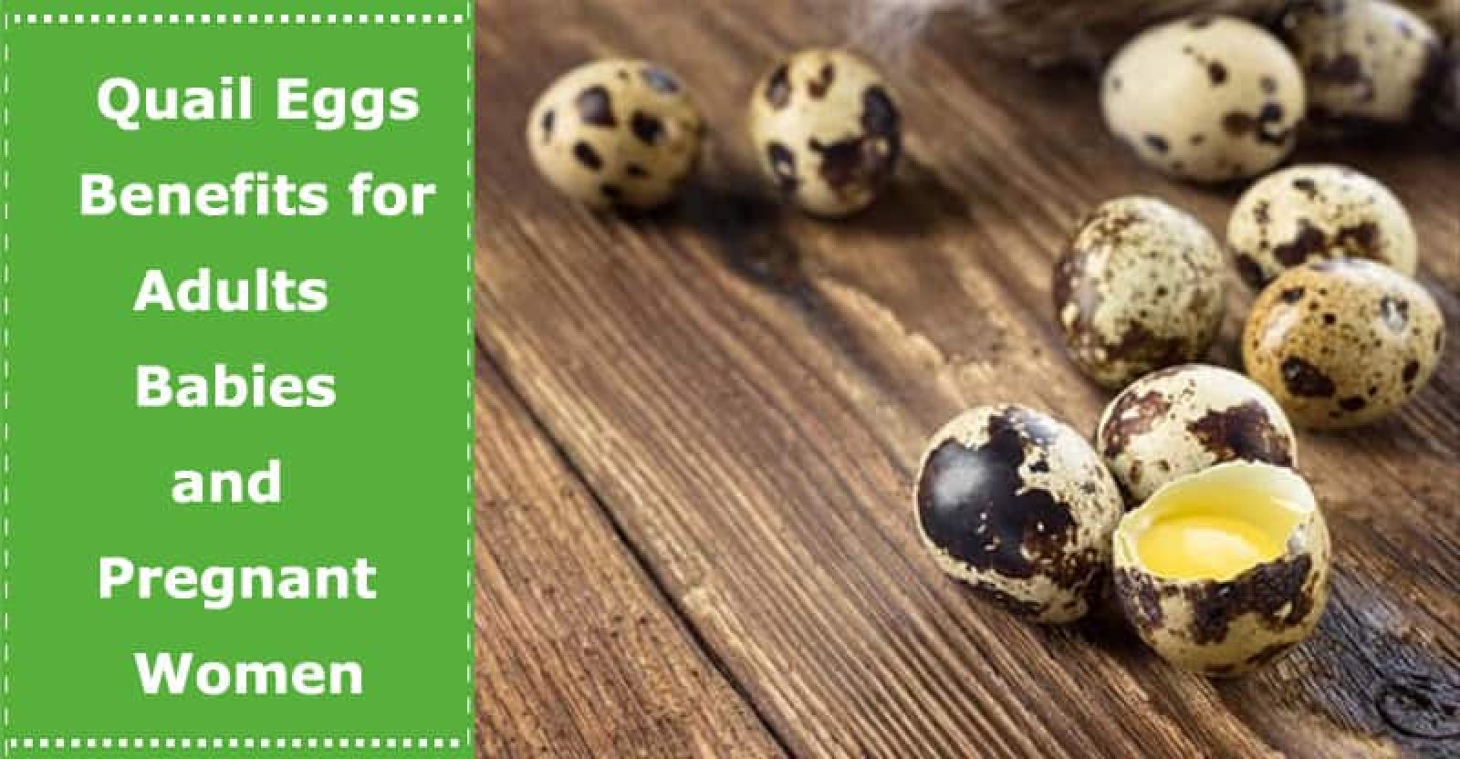 Quail Eggs Benefits for Adults Babies and Pregnant Women WonderGirlsWorld